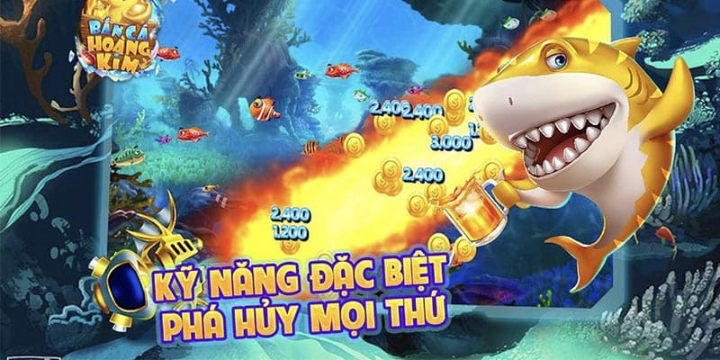 Bí quyết từ ngư thủ