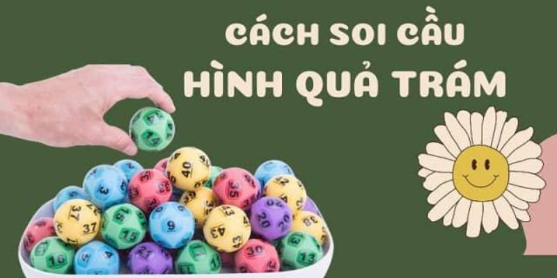 Những phương pháp soi cầu quả trám tại nhà cái