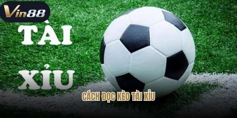 Cách đọc kèo tài xỉu Cách đọc kèo tài xỉu