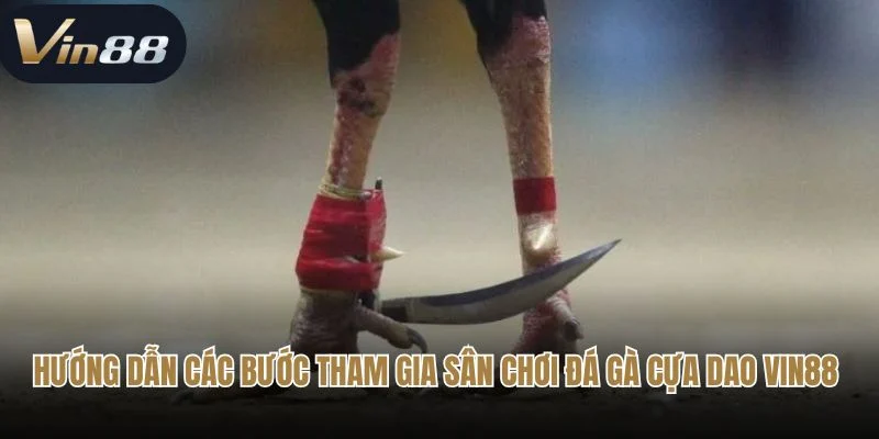 Hướng dẫn các bước tham gia sân chơi đá gà cựa dao Vin88 